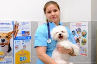 Тютикова Инна Николаевна