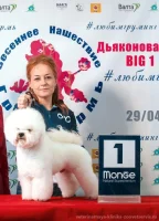 Дьяконова Светлана Валентиновна